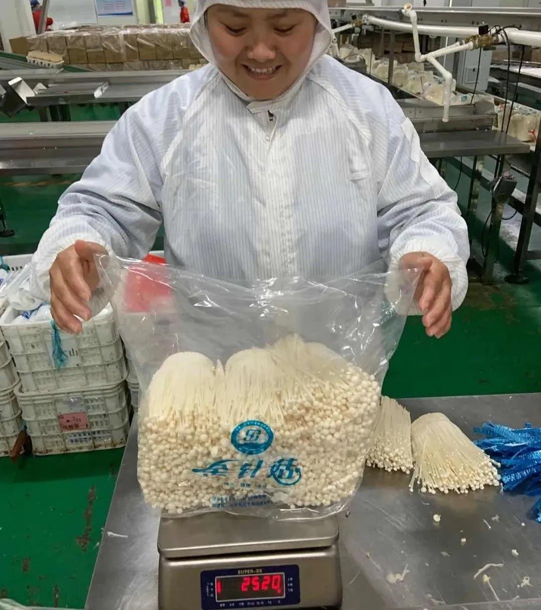微信图片_20210119094442.jpg